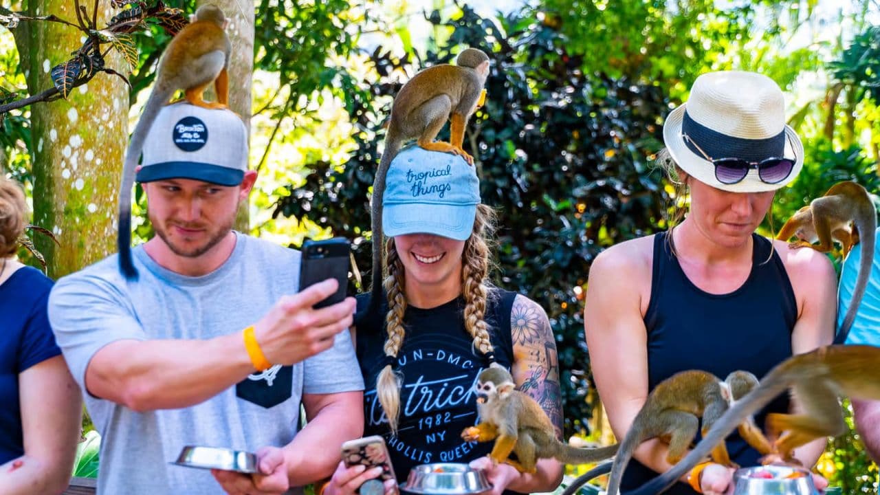 Punta Cana: Monkeyland and Plantation Tour