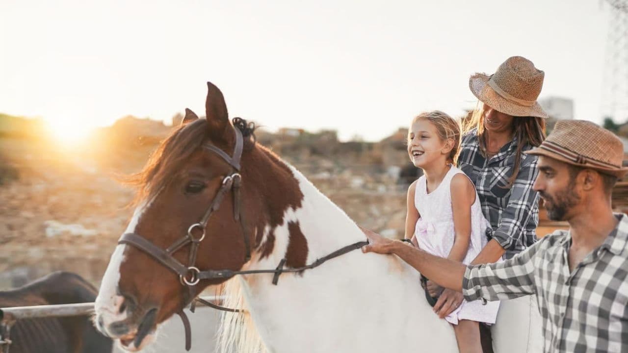 2hour horseback riding adventure on the beach jungle & river