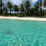 Saona Island: Small Group Virgin Beaches Cruise Day Trip