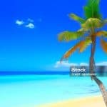  Punta Cana: Saona Island Cruise with Lunch & Open Bar