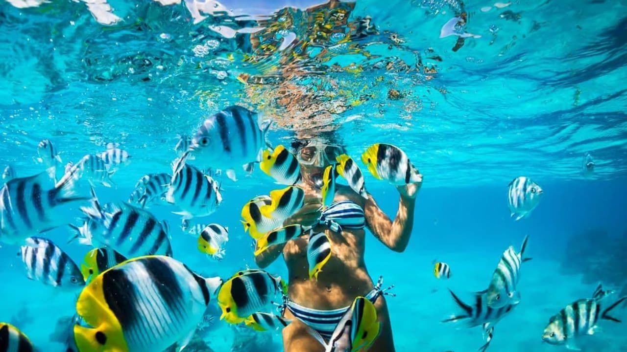 Punta Cana: Catalina Island Private Day Trip with Snorkeling