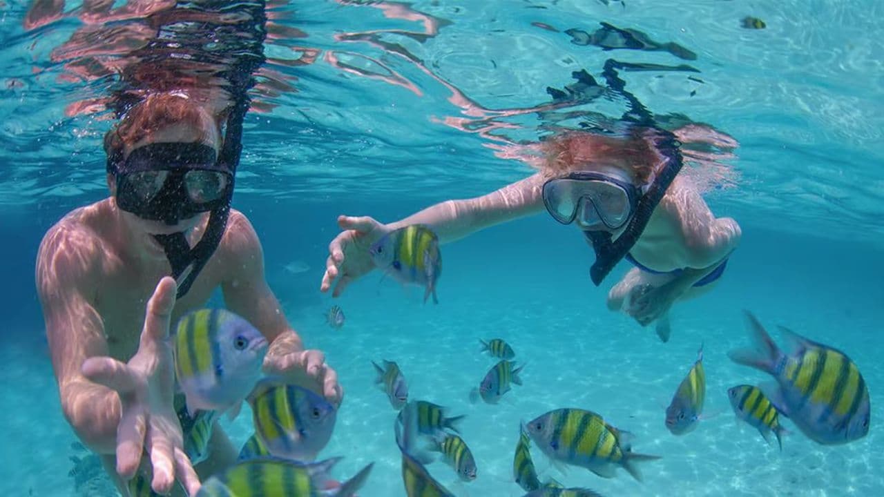 Punta Cana Private Boat BBQ (MAX)