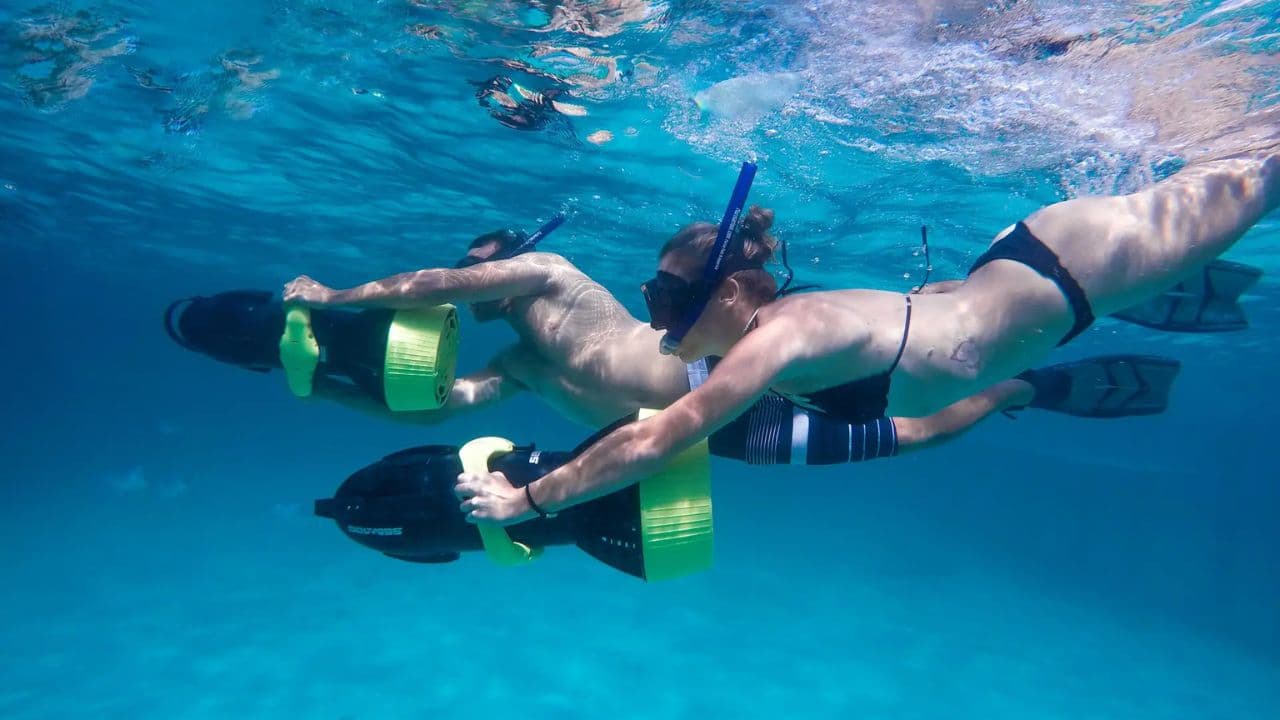 Punta Cana: Dolphin Experience in the Sea