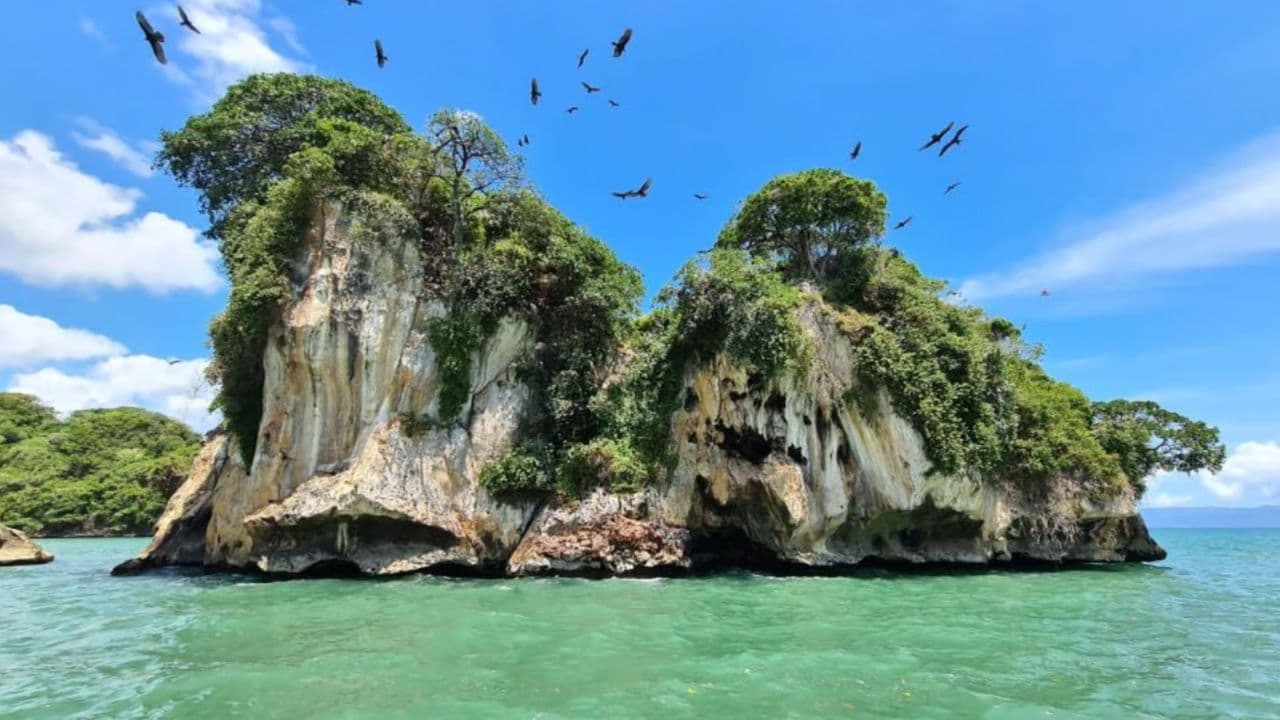 Discover Los Haitises National Park with Delicious Lunch