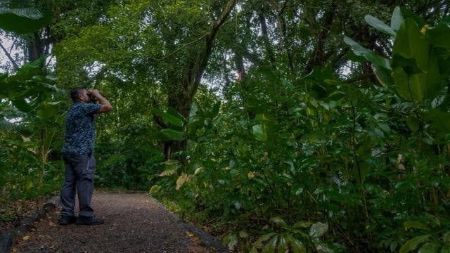 El Tanque: GreenEcoPark Guided Hike with Seasonal Fruits