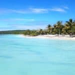 Puerto Plata: Day Trip to Cayo Arena Island by Speedboat