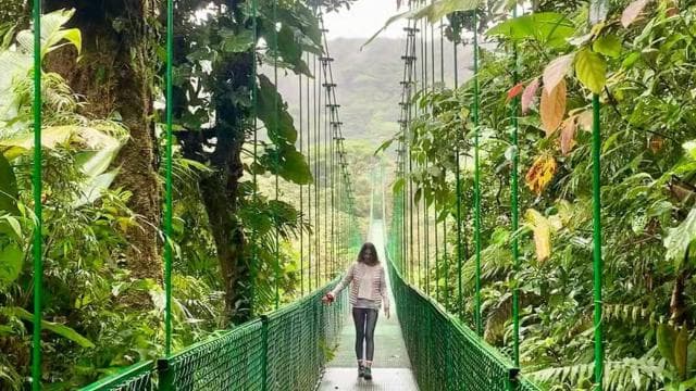 Monteverde: Cloud Forest Hanging Bridges Guided Tour