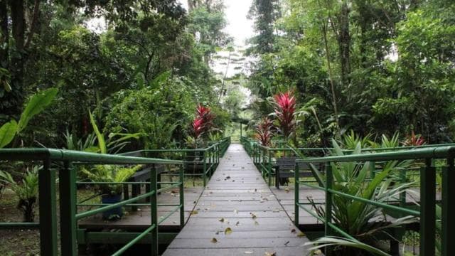 Tortuguero: Hike the Cerro Tortuguero Trail