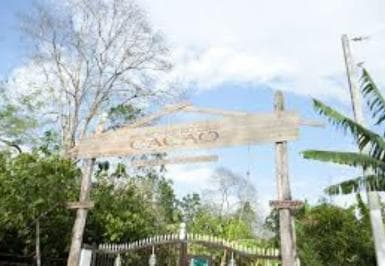 Private: Cacao Plantation Tour with Lunch & Tasting