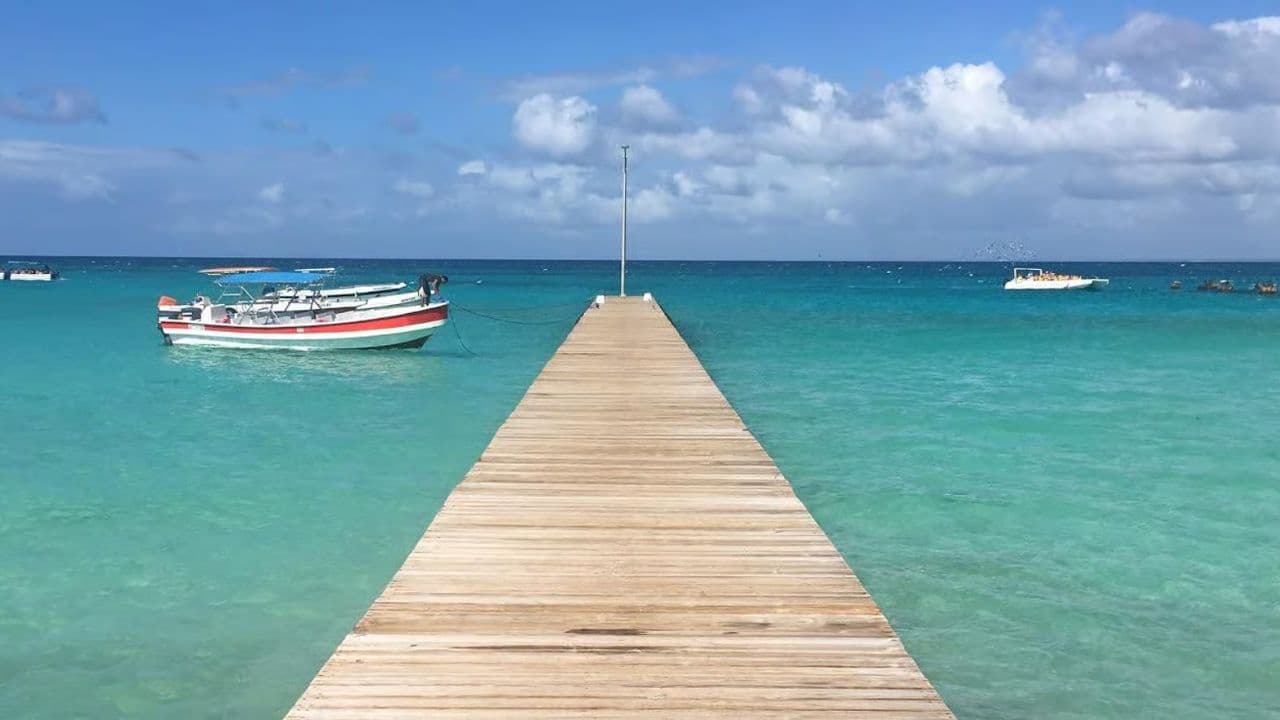 Punta Cana: Saona Island Full-Day Small Groups Tour
