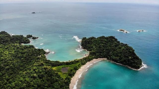 Manuel Antonio: Manuel Antonio National Park Guided Day Trip
