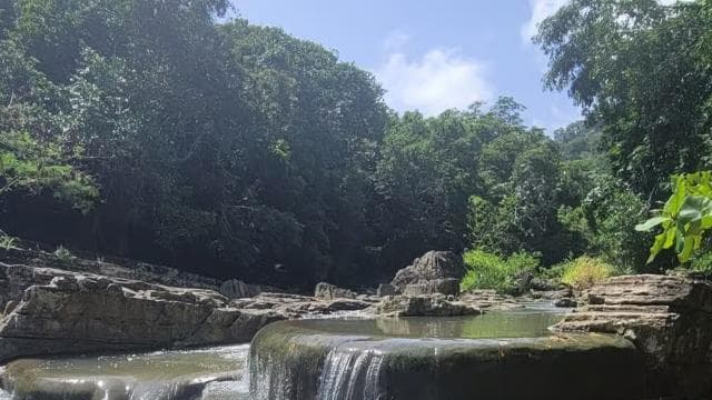 All-Inclusive Day Trip from Punta Cana: DR Culture Immersion