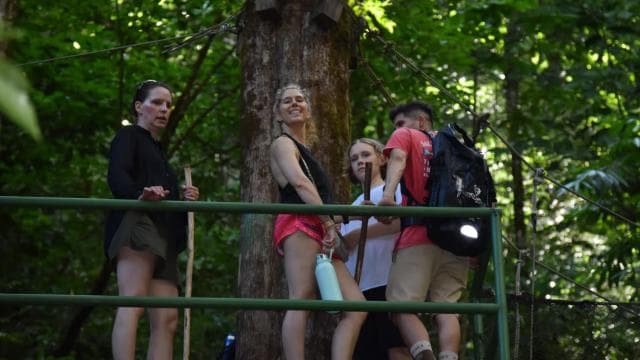 Manuel Antonio: Hanging Bridges and Waterfall Tour