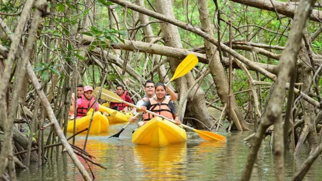Tortuguero: Three Days & Two Nights All Included Tortuguero