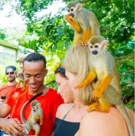 Punta Cana: Tour Aventura con Monos con Recogida en el Hotel