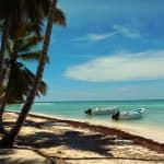 Full-Day Saona Island Tour by Speedboat