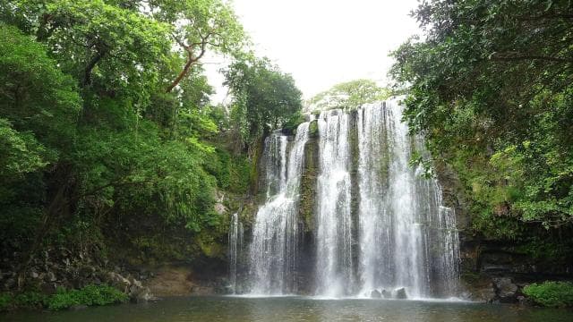 Guanacaste: Sloth Sanctuary and Waterfall Adventure