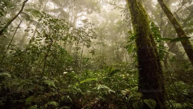 CR Luxury 14-Hour Off-the-Beaten-Path Tour Anywhere