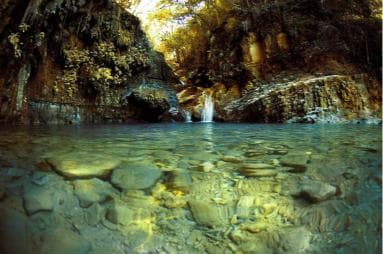  Puerto Plata: Damajagua Waterfalls Full-Day Adventure