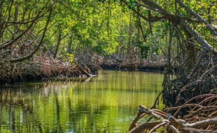 Los Haitises: Hiking and Kayaking natural pools Tour & Lunch