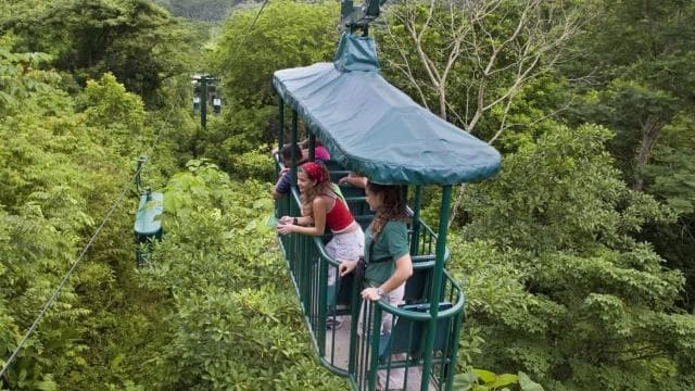 Canopy Zip line & Aerial Tram Tour Jacó
