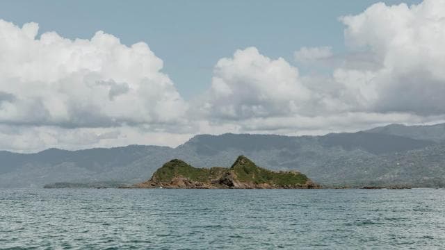 Uvita: Private Guided Tour - Sloth Watching Trail Costa Rica