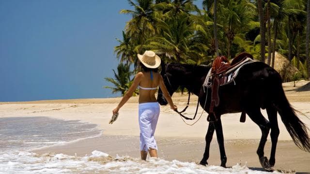 Punta Cana: Horseback Riding through Stunning Beaches