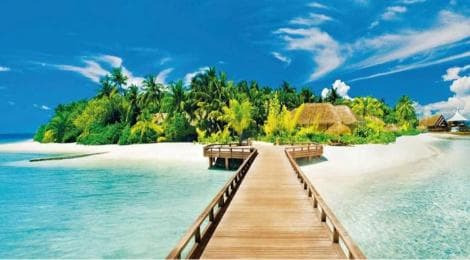 Catalina Island Full-Day Snorkeling + Lunch from Punta Cana
