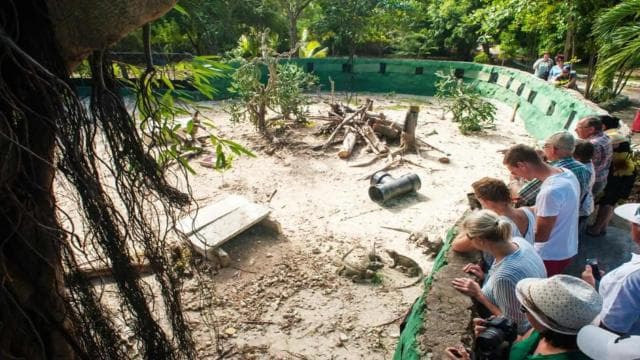 Punta Cana: Iguana Sanctuary, Sailing & BBQ Tour