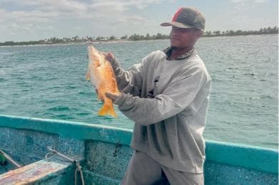 Sailing tour to Catalina Island from La Romana