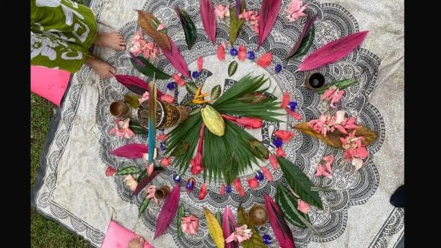 Manzanillo, Costa Rica: Forest Bathing Therapy