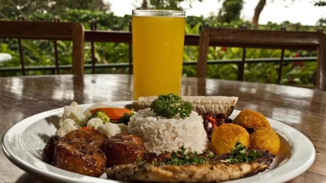 Guanacaste: Sloth Sanctuary and Waterfall Adventure