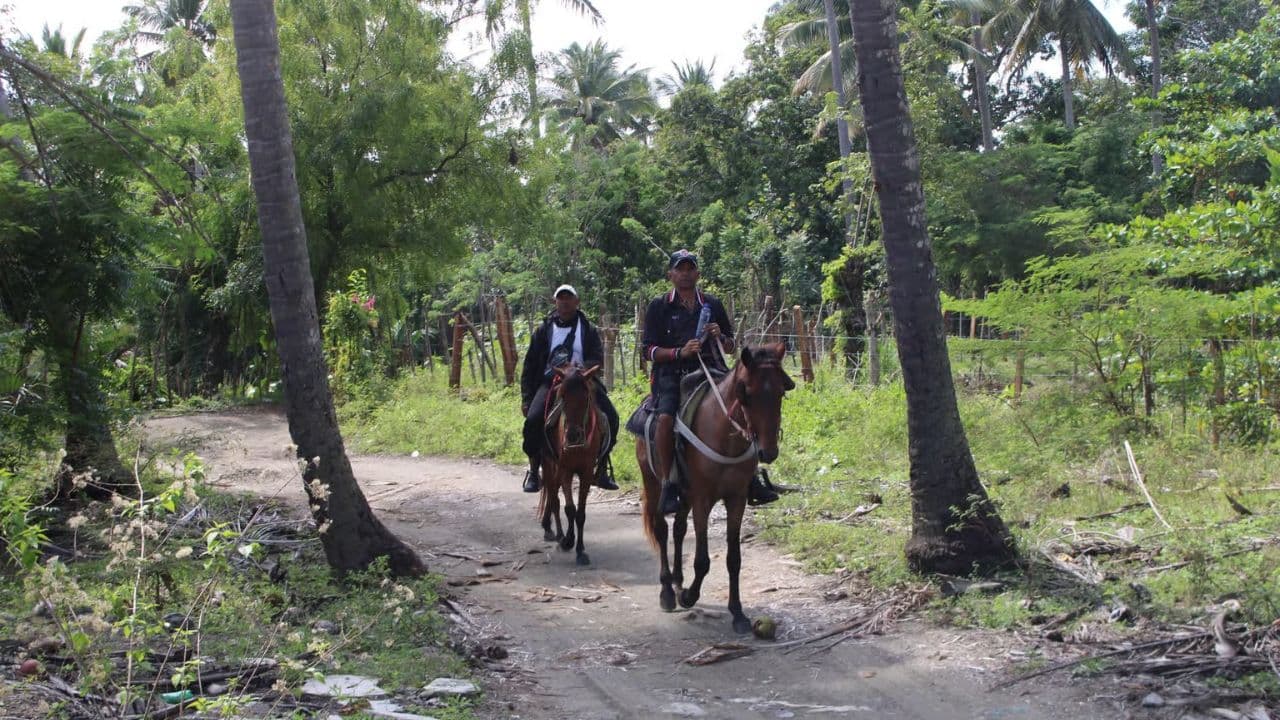 Beach horse back riding and countryside (Copy)