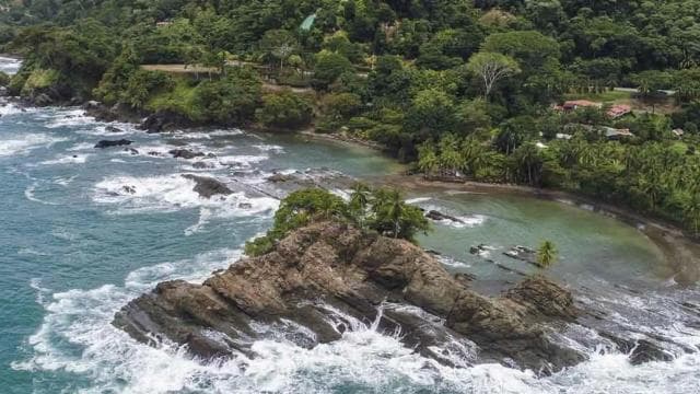 Uvita: Private Marino Ballena Boat Cruise Whales & Dolphins