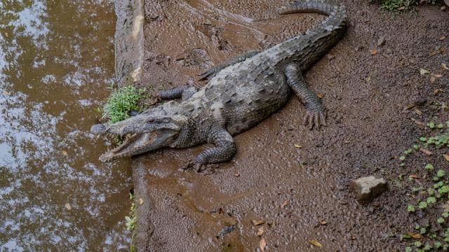 Natura Eco Park Admission: Wildlife Sanctuary