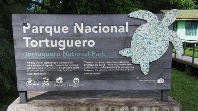 TURTLE WATCHING IN TORTUGUERO COSTA RICA