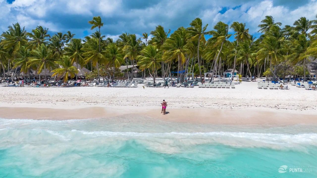 Saona Island: Full-Day Boat Tour with Drinks & Buffet Lunch