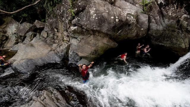 From San Juan: El Yunque Forest Hike & Ziplining Combo Tour