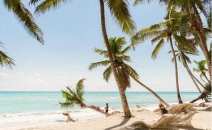 Bayahibe: Saona Island Catamaran Tour with Lunch & Drinks
