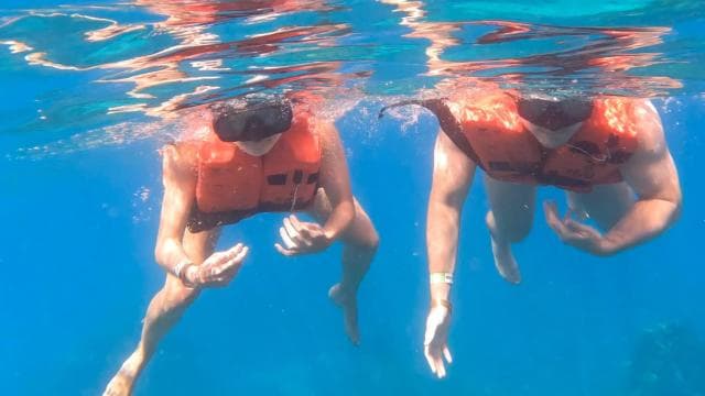 diving catalina island from punta cana
