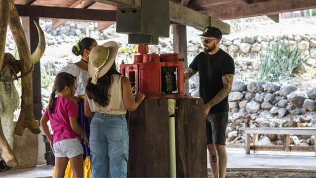 Guanacaste: Cultural and Handicraft Tour