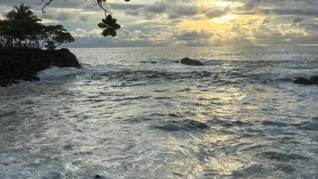 The heart of Quepos: History and Culture tour