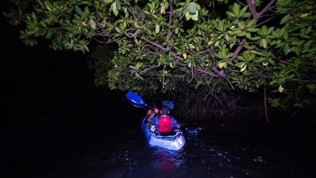 From San Juan: Bioluminescent Bay Kayak Adventure at Night
