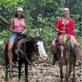 Punta Cana: Guided Horseback Tour of Beaches and Fields