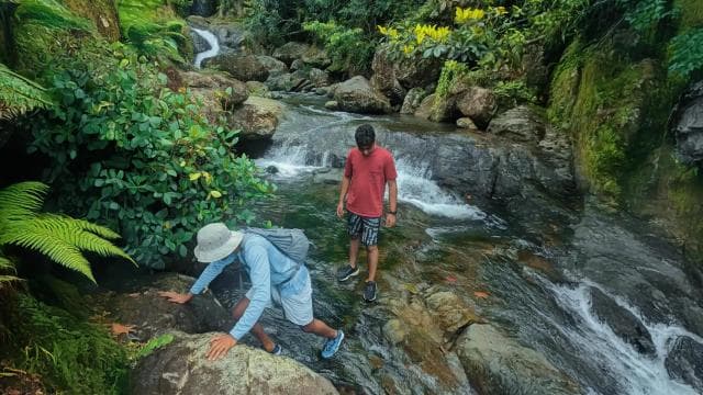 Discover a Hidden Paradise & Learn about Plants.