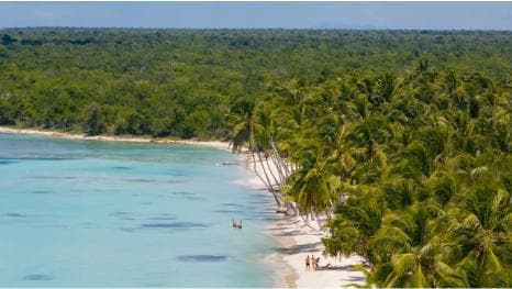 Saona Island Day Trip From Punta Cana with Lunch w/ Open Bar