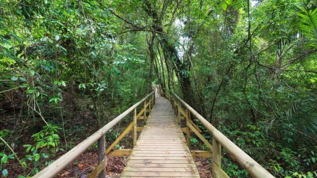 San Jose: Manuel Antonio National Park Day Trip with Lunch