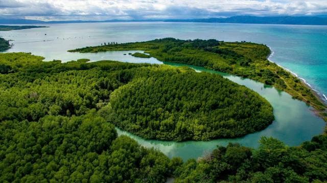Puerto Jimenez Historic Walking Tour