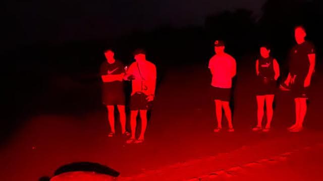 Tamarindo: Turtle Watching Night Tour with Expert Naturalist