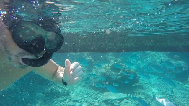 San Juan Snorkeling Tour with Roundtrip Transportation